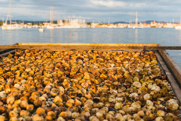 干无花果。照片干燥，自然无花果与海洋为背景。图片下载