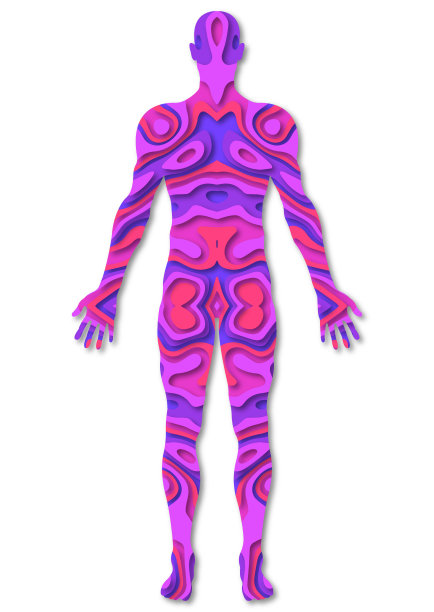 男性体型的说明。图片下载