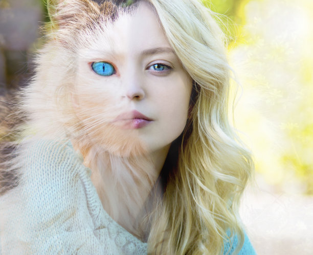 有灵魂的女人是猫，人是动物图片下载