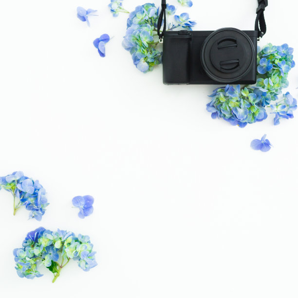 概念与照片相机和绣球花在白色的背景。平躺，俯视图。本空间图片下载