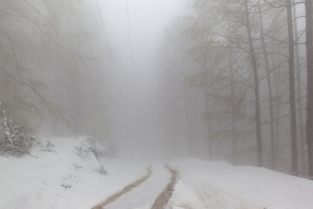 背景春天季节冬天图片下载