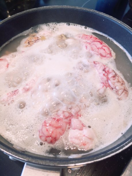 做头芝士，煮猪脑图片下载