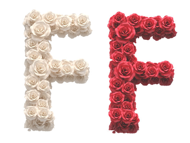 红白玫瑰字体。图片下载