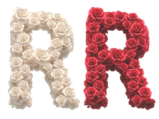 红白玫瑰字体。图片下载