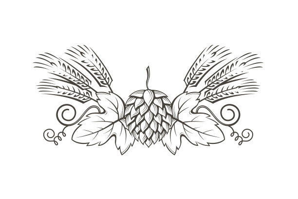 啤酒花和大麦的形象图片下载