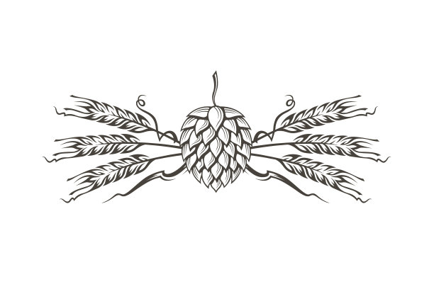 啤酒花和大麦的形象图片下载