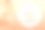 Banner，橙色调的夏季销量增长了90%。桃子的背景。热带植物。图片下载