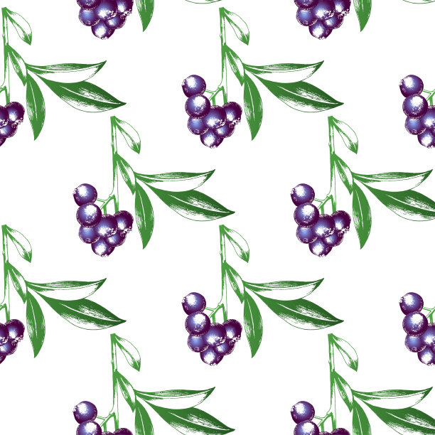 新鲜蓝莓无缝图案。矢量背景与彩色的水果。手绘雕刻草图。图片下载