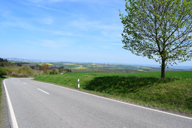 春天大道图片下载