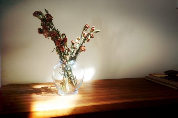 玻璃花瓶里的野花和阳光图片下载