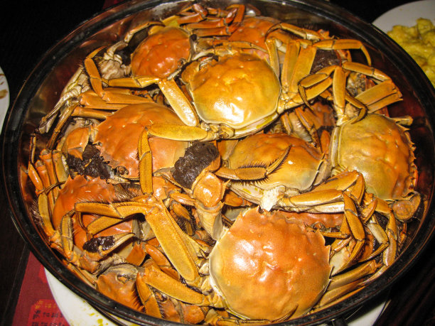 中国天津的一碗蒸大闸蟹图片下载