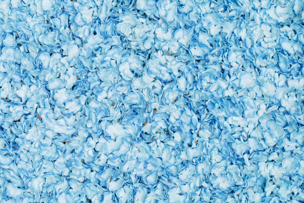 植物墙图片下载