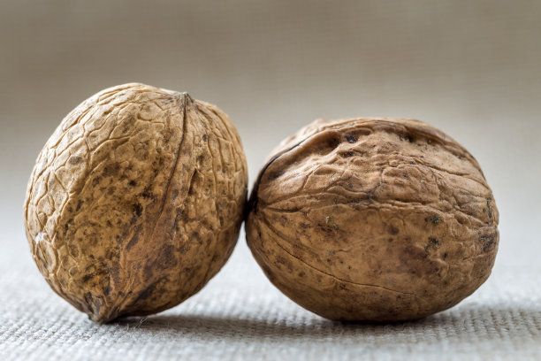 特写胡桃木壳孤立在光复制空间背景。健康美味的有机食品理念。图片下载