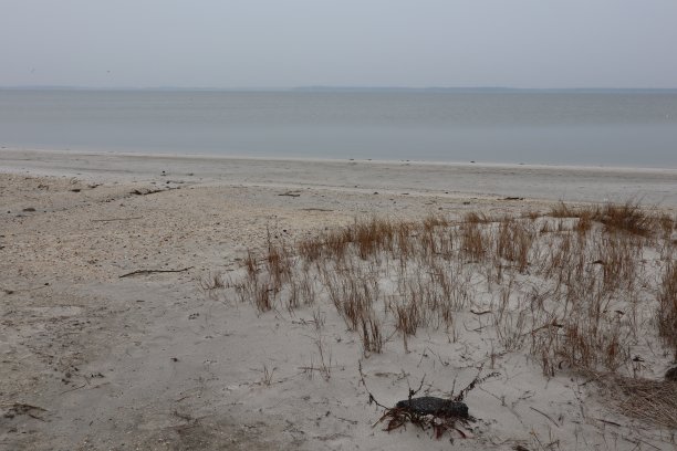 那一刻图片下载