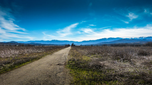 穿过干燥的草地图片下载