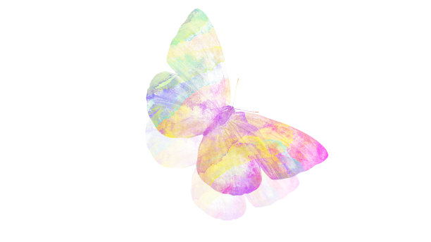 水彩蝴蝶。用于设计的热带昆虫。在白色背景上隔离图片下载