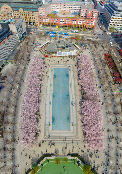 第一个樱花和喷泉，昆斯特拉花园图片下载