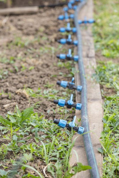 田间滴灌系统图片下载