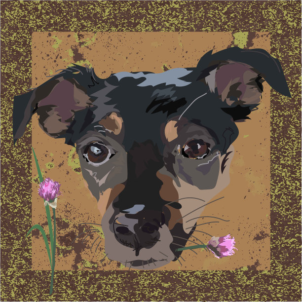 一只小狗的嘴部，黑色和红色的小狗在一个棕色的工艺品的背景，拿着一个粉红色的花在他的牙齿。图片下载