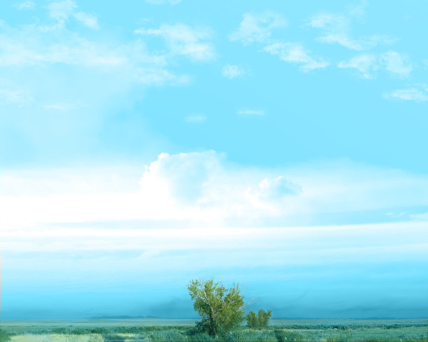 草原景观与柳树日落图片下载