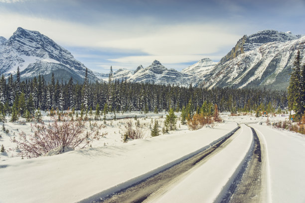 雪地上的轮胎痕迹图片下载