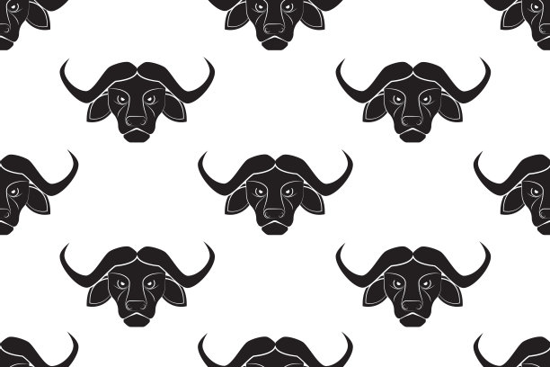 无缝模式的黑色水牛头绘制在白色的背景图片下载