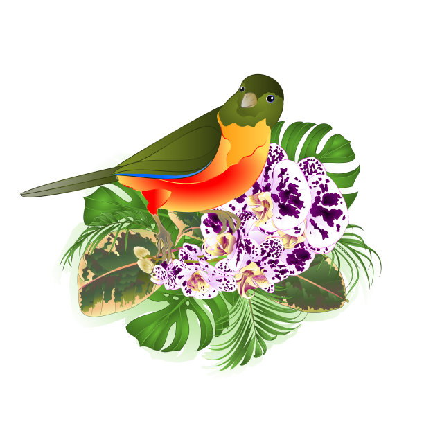 小热带鸟类与兰花花斑蝴蝶兰插花，与美丽的棕榈树，philodendron和榕树复古矢量插图编辑图片下载