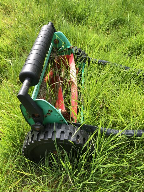 杂草丛生的草坪图像，长草通过生锈的割草机生长，花园草坪照片需要修剪/切割和除草剂化肥图片下载