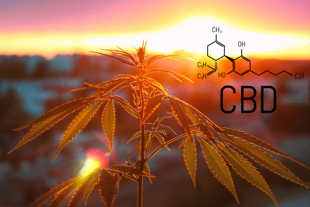 医用大麻和CBD油的化学配方。种植优质大麻产品。主题照片麻。大麻对人类大脑、神经系统、心理活动和功能、认知功能、发育的影响(积极和消极)。图片下载