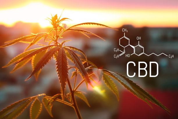 医用大麻和CBD油的化学配方。种植优质大麻产品。主题照片麻。大麻对人类大脑、神经系统、心理活动和功能、认知功能、发育的影响(积极和消极)。图片下载