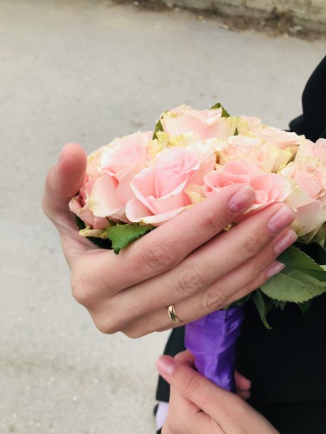 鲜花玫瑰。图片下载