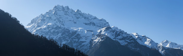 锡金北部的Yumthang山谷，美丽的大山，前景中有树木图片下载