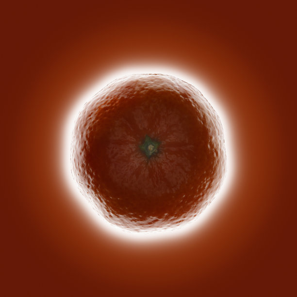 单瓣的橘色，背面泛着橙色光泽图片下载