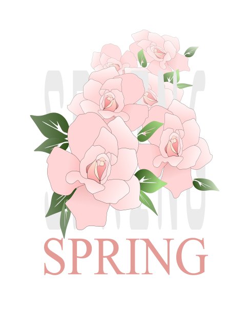春天和玫瑰。玫瑰、花、花、春、印花、t恤、印花、纺织品、图案、插图、粉色、色彩、时尚、服装、休闲服装图片下载