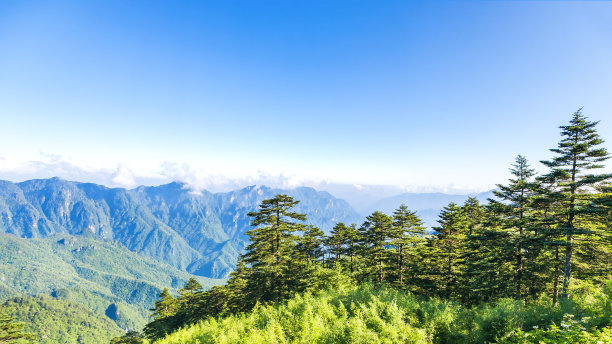 从云端俯瞰山顶的图片图片下载