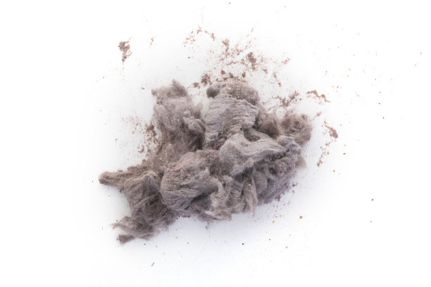 灰尘堆垃圾在白色的背景图片下载