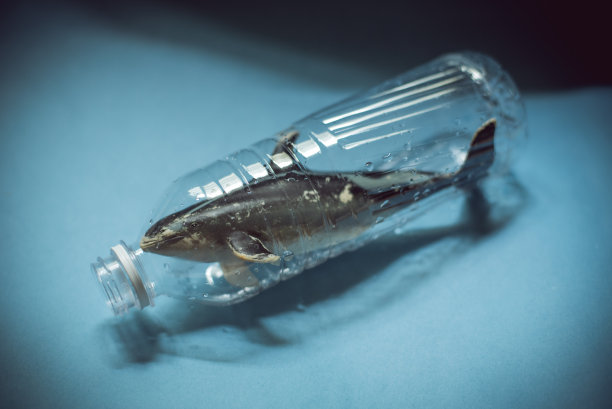 停止海洋塑料污染!图片下载