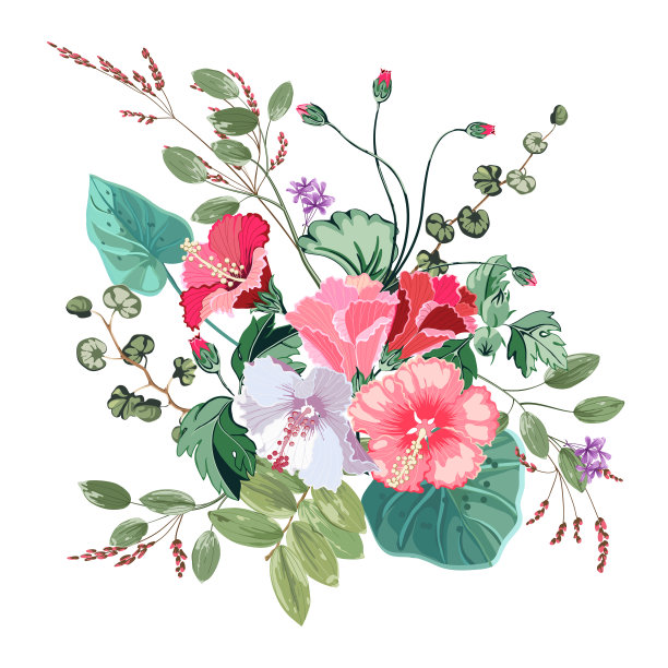 白色背景下散发出红色、粉色、白色芙蓉花和热带树叶的香味。图片下载