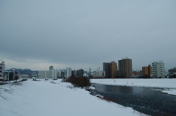 冬天河畔图片下载