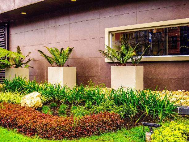 建筑立面中的花园图片下载