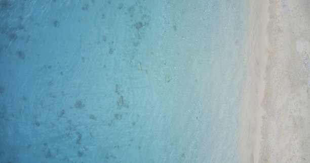 夏天海滩的鸟瞰图图片下载