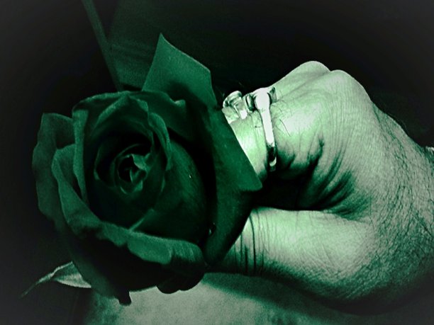 旧但还活着图片下载