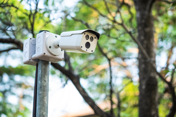 公园杆子上的闭路电视摄像头。图片下载