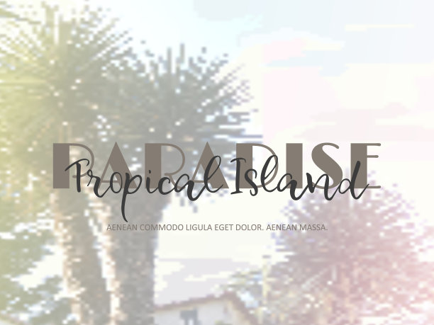 夏天模糊背景。度假与棕榈树和文字设计。图片下载