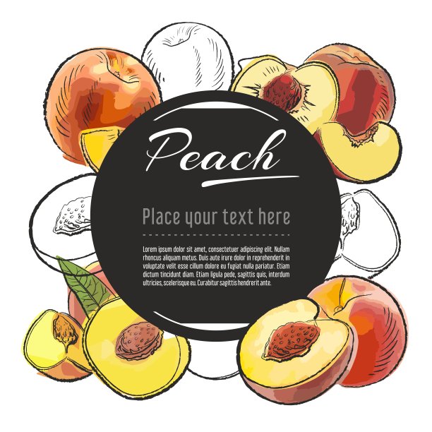 矢量素描桃色横幅在白色的背景。与地方的文本。手绘水果效果图设计图片下载