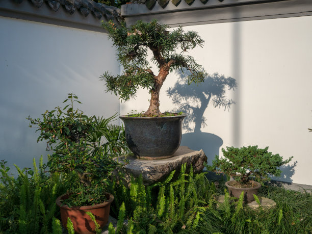 风景成都，四川省，中国。图片下载