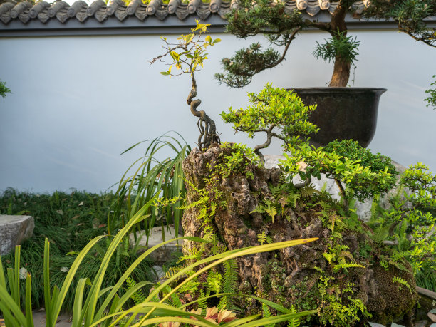 风景成都，四川省，中国。图片下载
