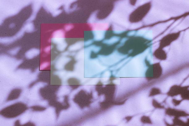 绿色，粉色的空卡片，写字纸。添加标签的布局。自然光硬，阴影深。硬叶阴影。图片下载