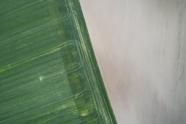 农田鸟瞰图图片下载