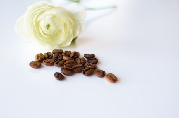 浅背景上的咖啡颗粒。图片下载